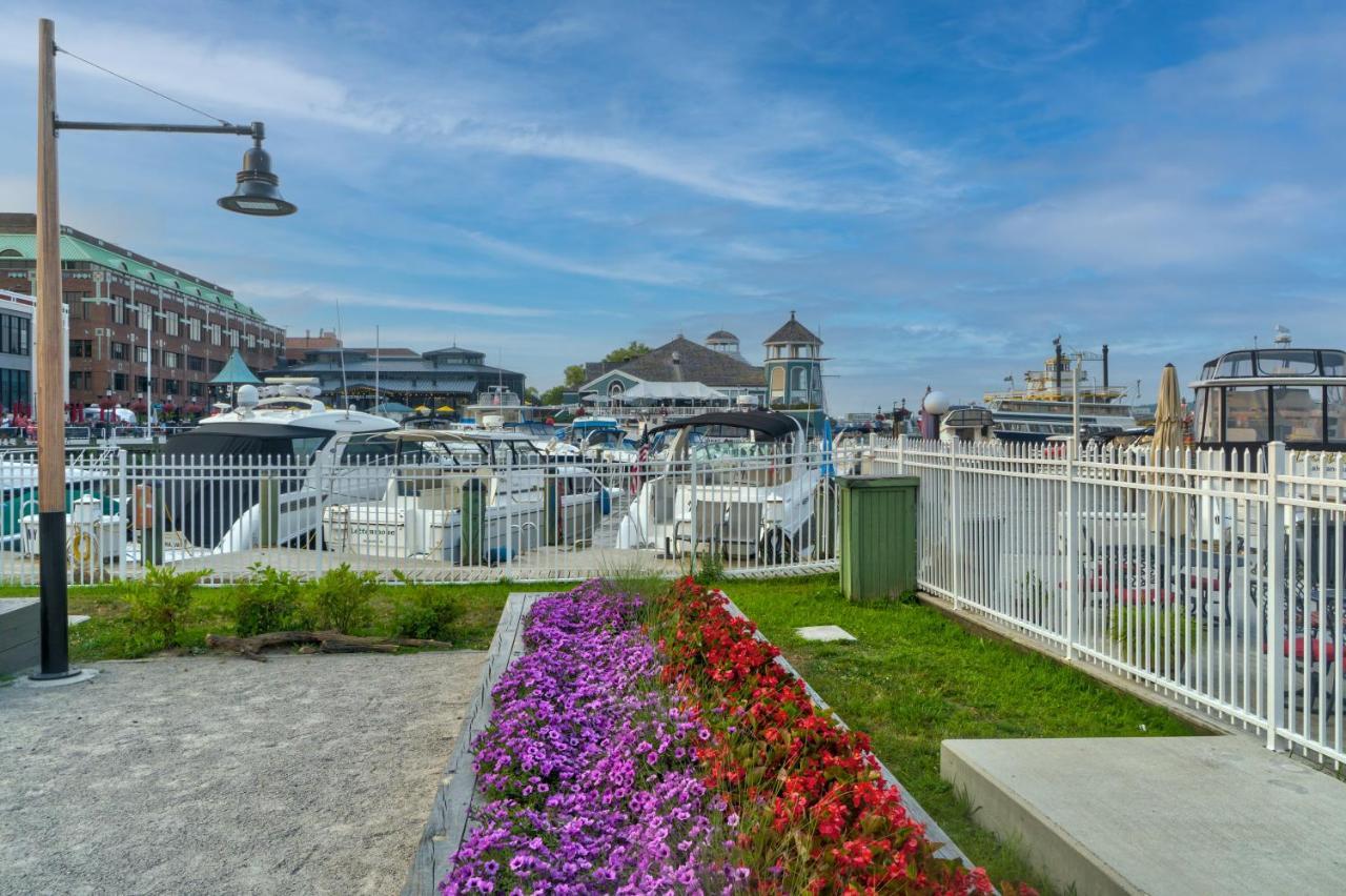 Villa The Payne House Old Town, Metro, Free Parking Alexandria Exterior foto
